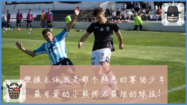 樊振东依旧是那个熟悉的赛场少年！最可爱的小熊挥洒最炫的球技！樊振东德甲