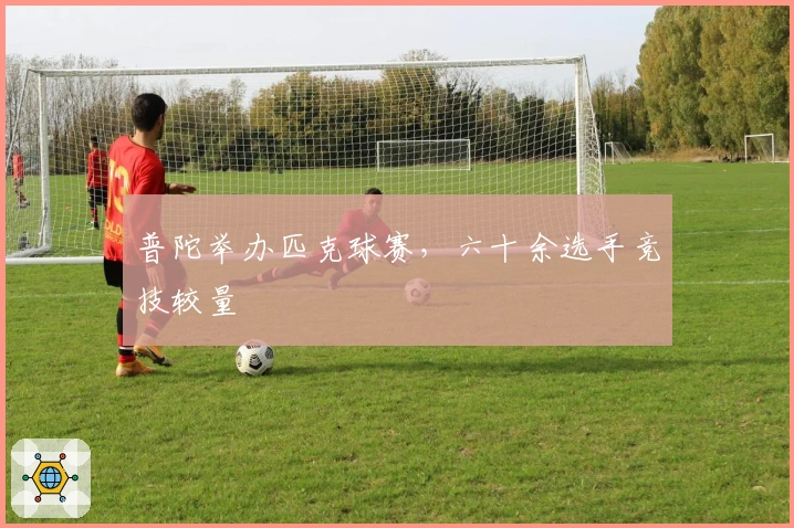 普陀举办匹克球赛，六十余选手竞技较量