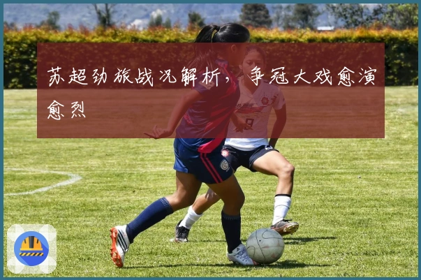 苏超劲旅战况解析，争冠大戏愈演愈烈