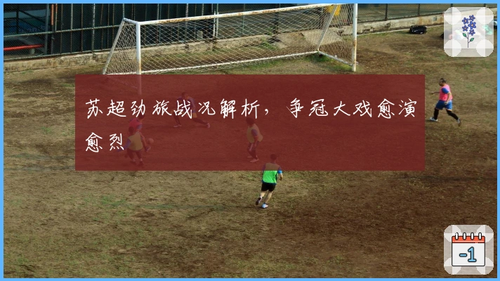 苏超劲旅战况解析，争冠大戏愈演愈烈